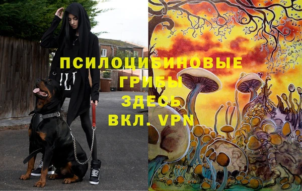 альфа пвп VHQ Баксан