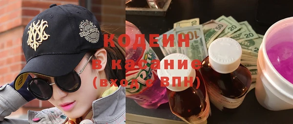 твердый Арсеньев
