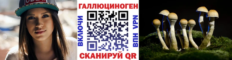 mega как войти  Покровск  Псилоцибиновые грибы Psilocybe 